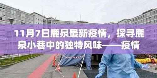 鹿泉疫情最新动态,探寻小巷独特风味,疫情下的意外美食之旅