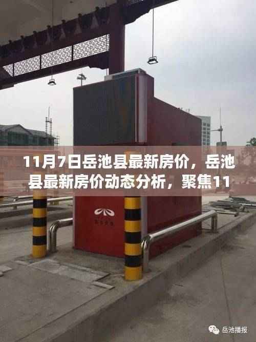 岳池县最新房价动态，聚焦市场走向与个人观点（11月7日更新）
