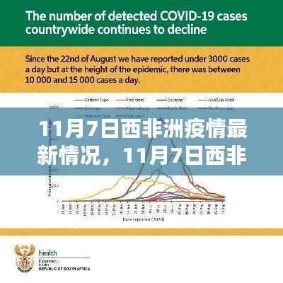 西非洲疫情最新动态,全面解析与前沿资讯(11月7日)