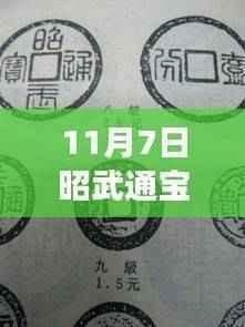 昭武通宝背一分最新价格与背后故事,变化的力量与自信鼓舞