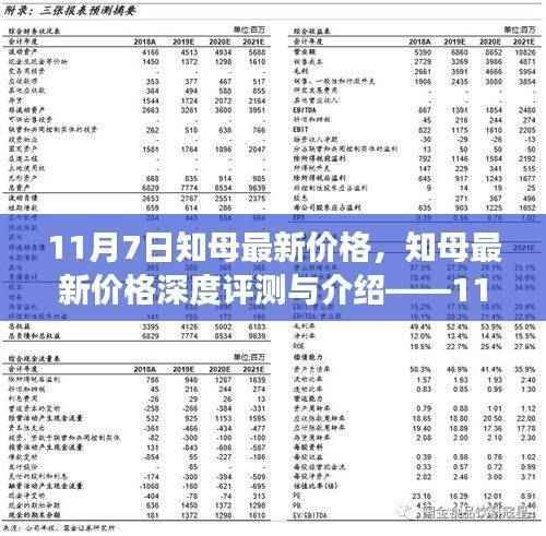 知母最新价格深度解析,市场洞察与评测——11月7日报告