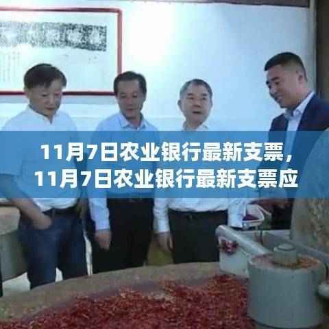 农业银行最新支票应用体验与功能解析,深度解析支票体验及功能特点