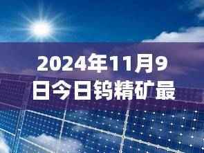 钨光熠熠映友情,揭秘钨精矿最新价背后的故事