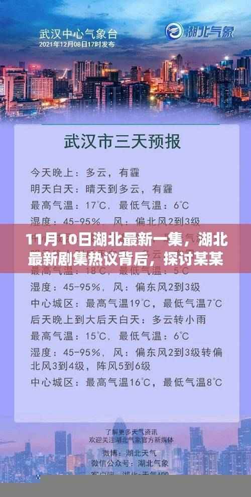 湖北最新剧集热议背后的深度解析,探讨某某观点