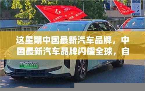 中国最新汽车品牌闪耀全球，成就感的源泉与变革同行力展现新力量
