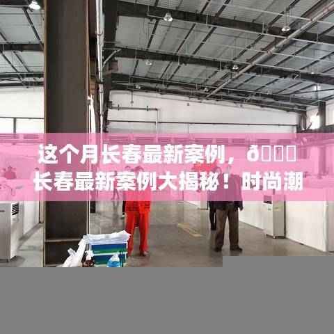 长春最新案例揭秘，时尚潮流与实用主义的完美融合