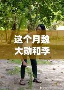 探秘魏大勋与李沁本月最新动态,恋爱与事业并进星光闪耀之路