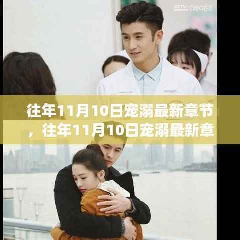 往年11月10日宠溺,甜蜜邂逅之旅的最新章节