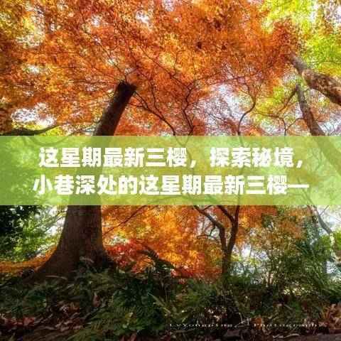 探索秘境，小巷深处的隐藏版美食天堂——最新三樱