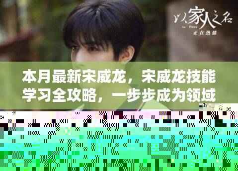 宋威龙技能学习全攻略,一步步引领你成为领域高手之路