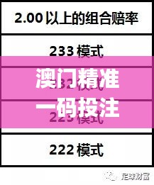 澳门精准一码投注攻略:数据解析与实战技巧_DHI994.39