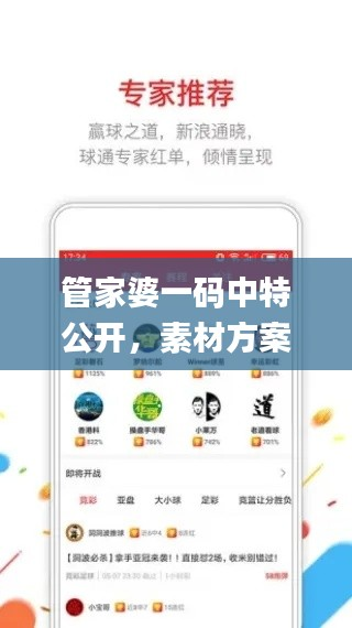 管家婆一码中特公开,素材方案详解_连续版SRI234.52