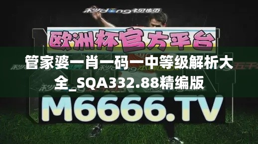 管家婆一肖一码一中等级解析大全_SQA332.88精编版
