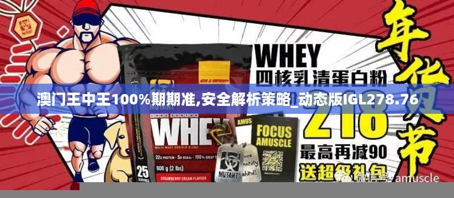 澳门王中王100%期期准,安全解析策略_动态版IGL278.76