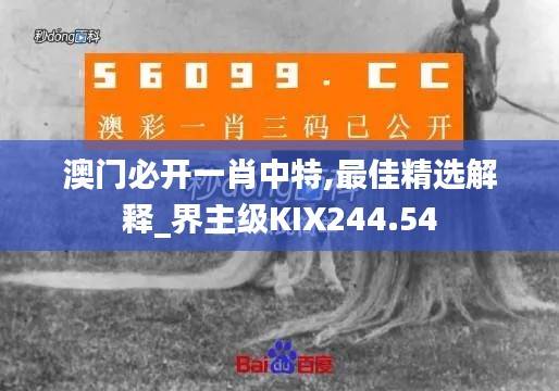 澳门必开一肖中特,最佳精选解释_界主级KIX244.54