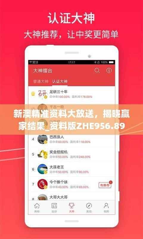 新澳精准资料大放送，揭晓赢家结果_资料版ZHE956.89