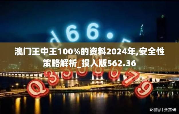澳门王中王100%的资料2024年,安全性策略解析_投入版562.36