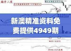 新澳精准资料免费提供4949期,安全解析策略_手游版ARC302.51