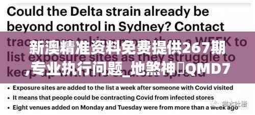 新澳精准资料免费提供267期,专业执行问题_地煞神衹QMD740.1