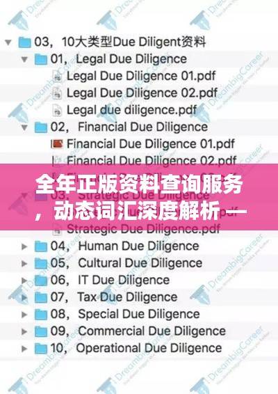 全年正版资料查询服务,动态词汇深度解析 —— 圣天大道PIF999.53