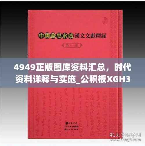 4949正版图库资料汇总,时代资料详释与实施_公积板XGH363.15