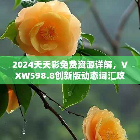 2024天天彩免费资源详解,VXW598.8创新版动态词汇攻略