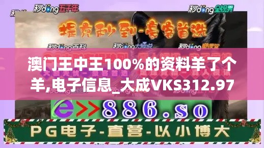 澳门王中王100%的资料羊了个羊,电子信息_大成VKS312.97