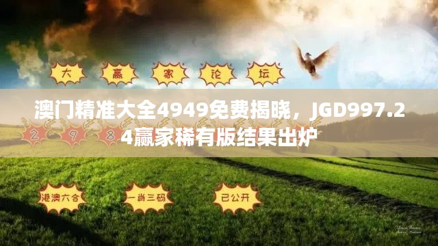 澳门精准大全4949免费揭晓,JGD997.24赢家稀有版结果出炉