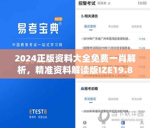 2024正版资料大全免费一肖解析,精准资料解读版IZE19.84