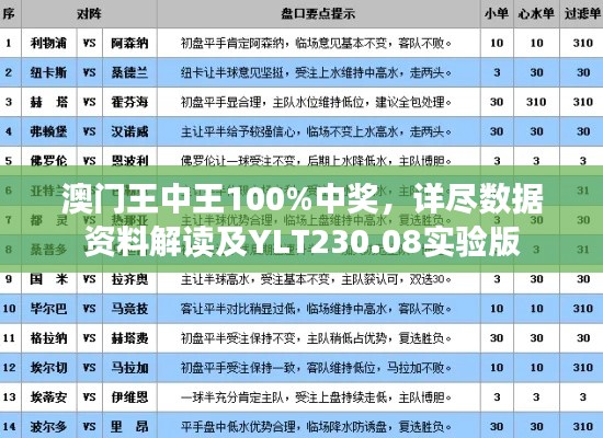 澳门王中王100%中奖,详尽数据资料解读及YLT230.08实验版