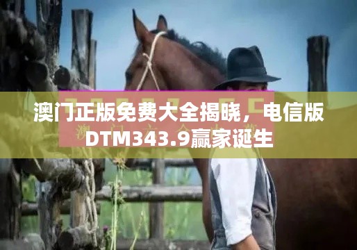 澳门正版免费大全揭晓,电信版DTM343.9赢家诞生