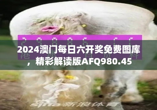 2024澳门每日六开奖免费图库,精彩解读版AFQ980.45