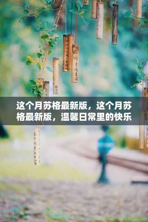 这个月苏格最新版,温馨日常中的快乐时光
