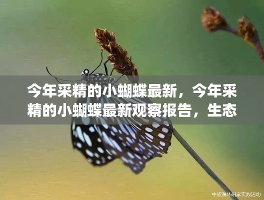 今年采精小蝴蝶的最新观察报告,生态、科技与进化的交织奇迹