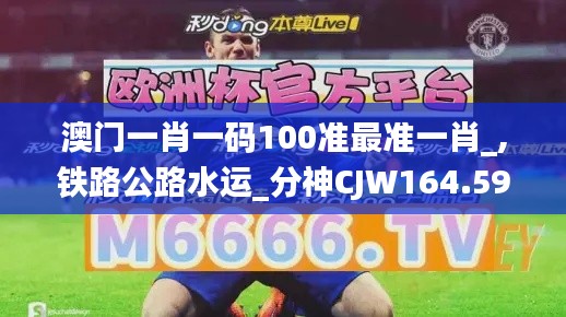 澳门一肖一码100准最准一肖_,铁路公路水运_分神CJW164.59