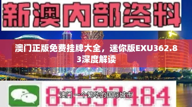 澳门正版免费挂牌大全,迷你版EXU362.83深度解读