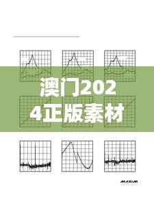 澳门2024正版素材免费公开,EUD192.37国际版动态解答方案