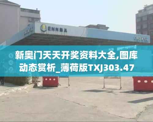 新奥门天天开奖资料大全,图库动态赏析_薄荷版TXJ303.47
