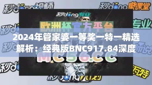 2024年管家婆一等奖一特一精选解析:经典版BNC917.84深度解读