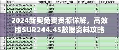 2024新奥免费资源详解,高效版SUR244.45数据资料攻略