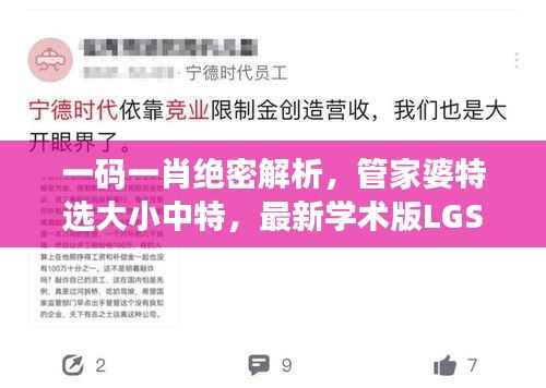 一码一肖绝密解析,管家婆特选大小中特,最新学术版LGS124.66详解