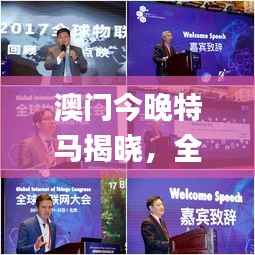 澳门今晚特马揭晓,全网解读大揭秘_YLM671.1网红版