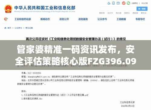 管家婆精准一码资讯发布,安全评估策略核心版FZG396.09解读