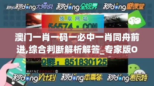 澳门一肖一码一必中一肖同舟前进,综合判断解析解答_专家版OQV120.94