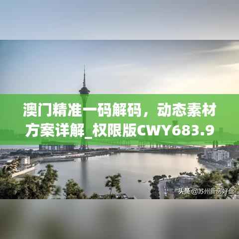 澳门精准一码解码,动态素材方案详解_权限版CWY683.95