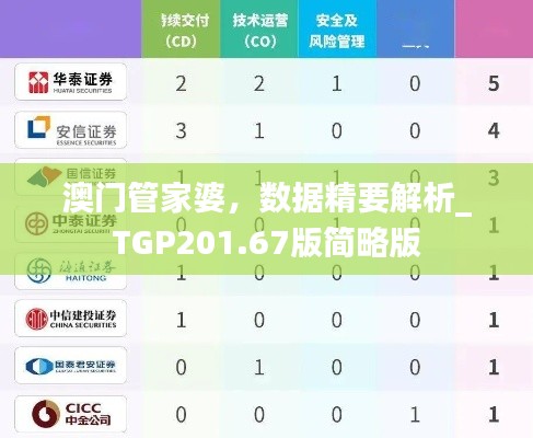 澳门管家婆,数据精要解析_TGP201.67版简略版