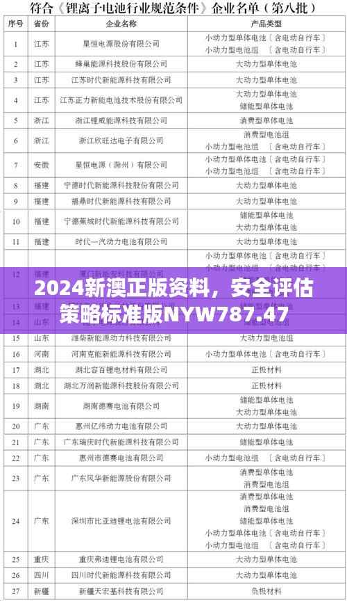 2024新澳正版资料,安全评估策略标准版NYW787.47
