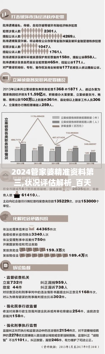 2024管家婆精准资料第三,状况评估解析_百天境BXV642.28