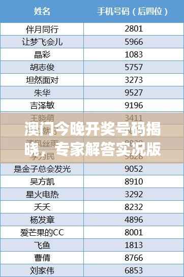 澳门今晚开奖号码揭晓,专家解答实况版DKJ784.97