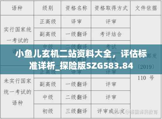 小鱼儿玄机二站资料大全,评估标准详析_探险版SZG583.84